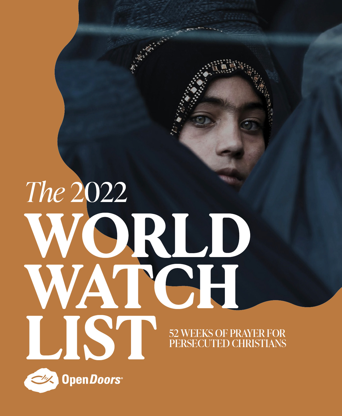 クリスチャンの1/7 迫害下に　世界迫害状況2022 オープン・ドアーズ調査