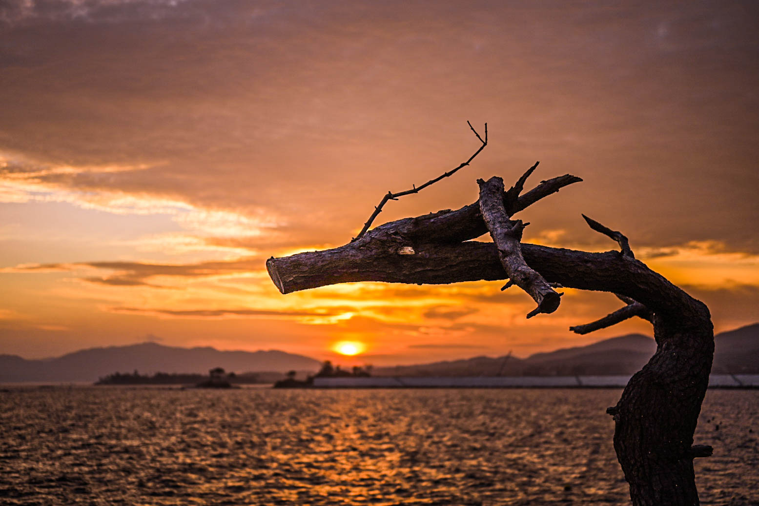 「一つの教会」「祈り」「絆」が大事　私の3.11～10年目の証し⑥