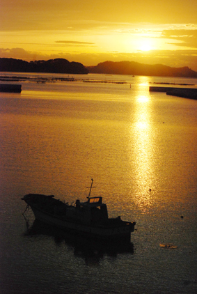 「新しい事」が起こるように　新年メッセージ　高木  実（キリスト者学生会総主事）