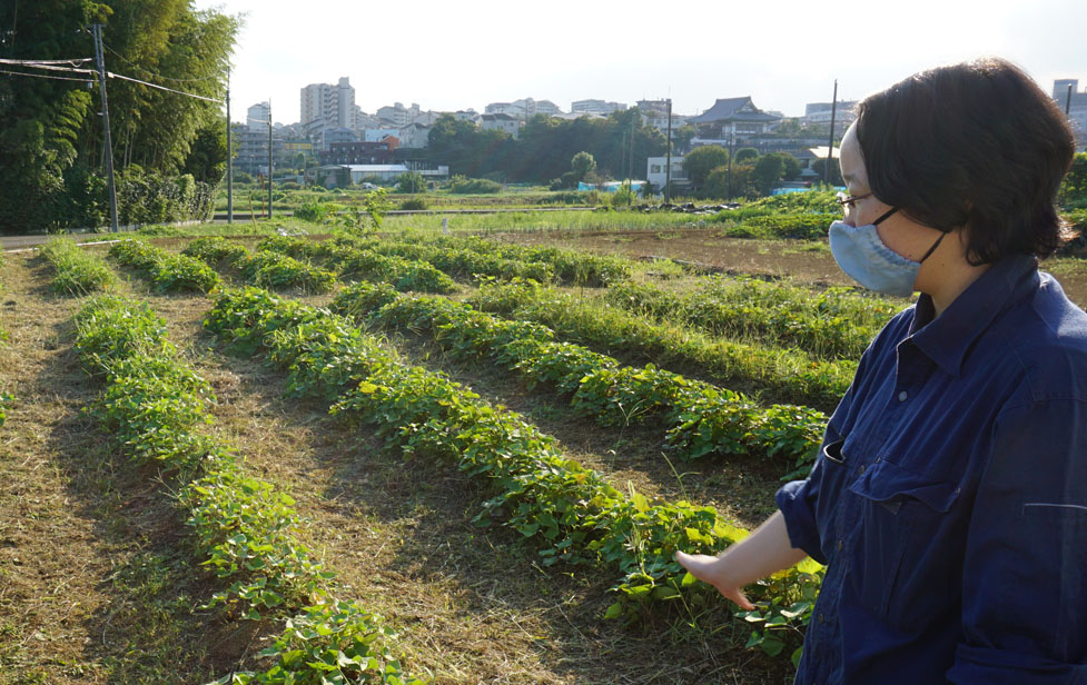 自然の中の「神の愛」追究　環境と教会を考える13　大村真理さん