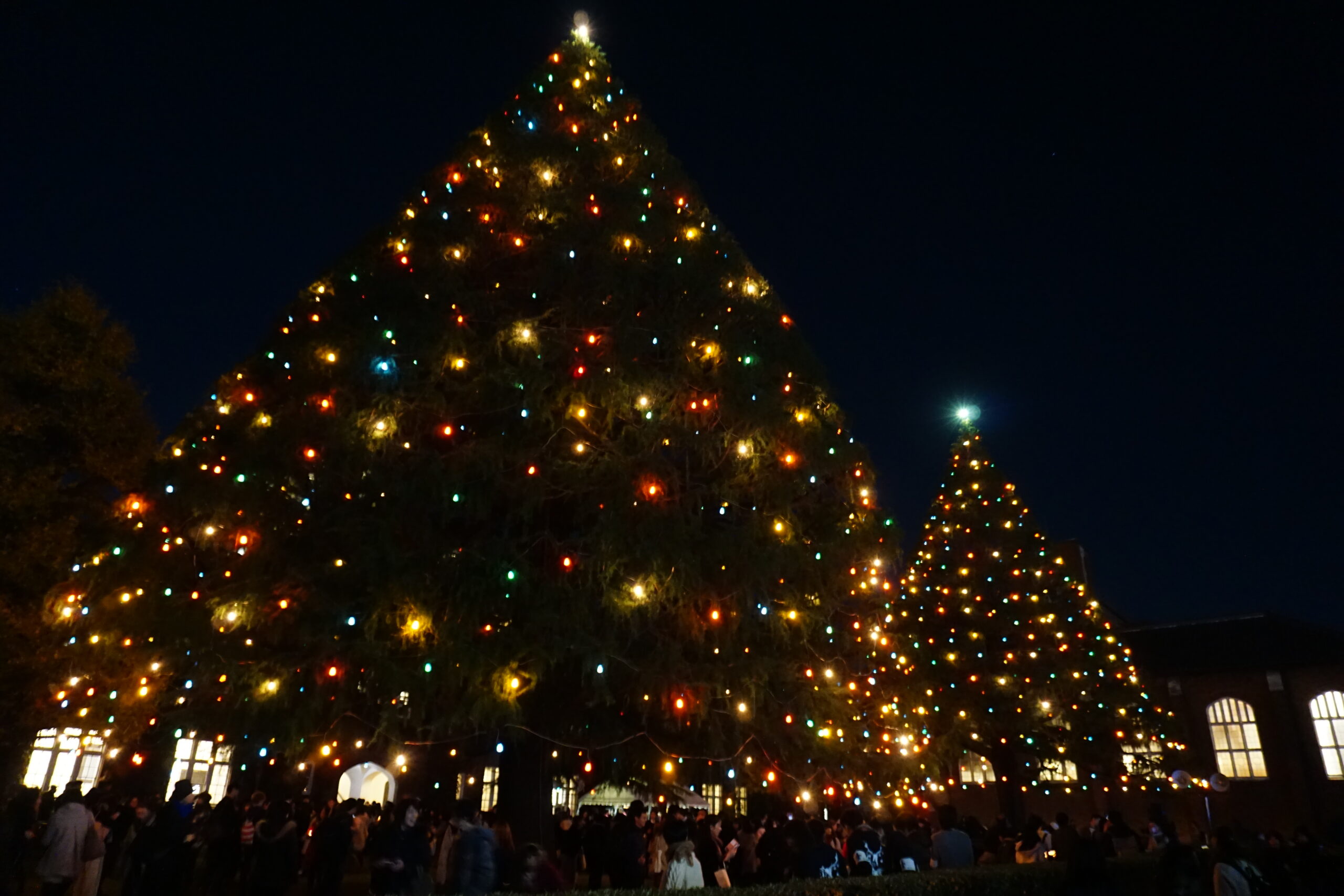 クリスマススペシャル・立教大学でイルミネーション点灯　笑顔の“奇跡”信じて