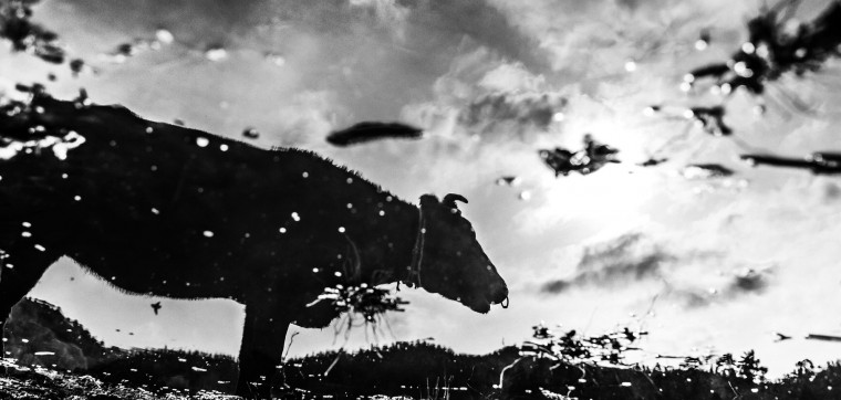 希望、哀しみなど様々な角度で表現 アートプロジェクト「フクシマを描く」