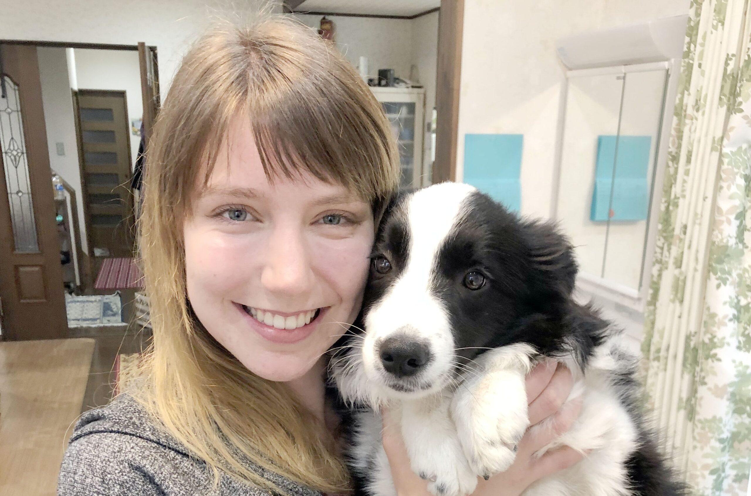 子犬は神様からのプレゼント 犬舎「YUSHA KENNEL」を運営するブリーダー 倉臼華さん