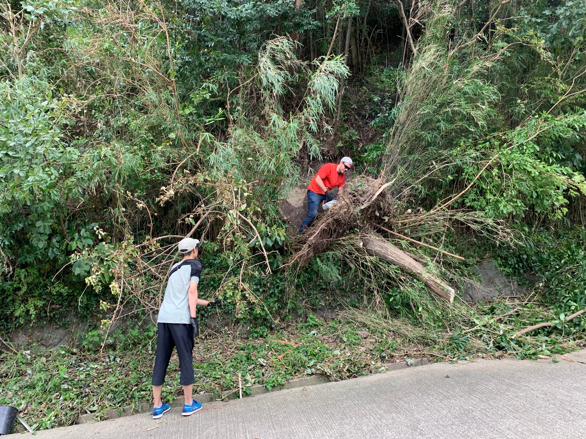 台風15号直撃 その時千葉の教会は？　停電、断水の中、神様が 助け手を送ってくれた　富津市 マリーンヒルキリスト教会
