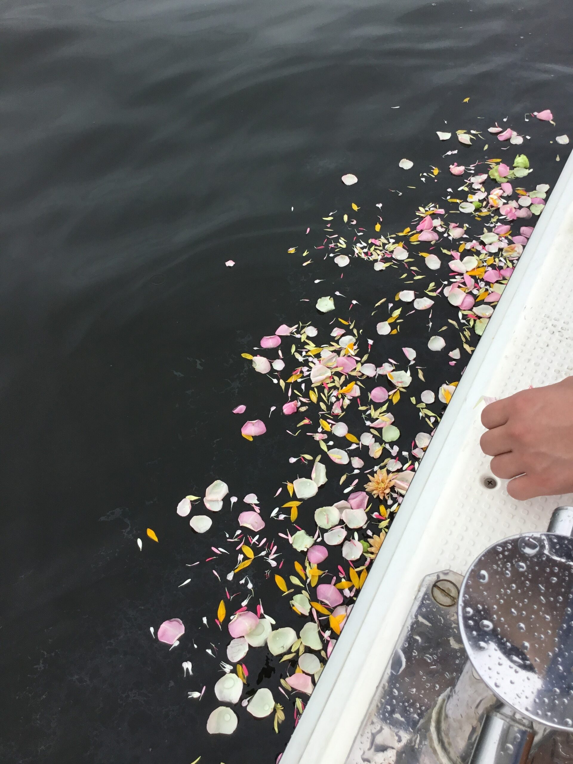 墓を持たない人の受け皿に　海洋散骨シャローム セレモニー