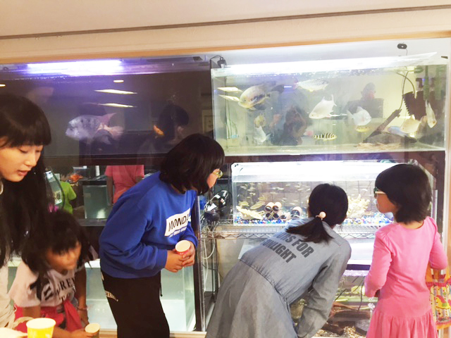 町の人気スポット水族館のある教会 子どもたちが生き物に触れられる場所に