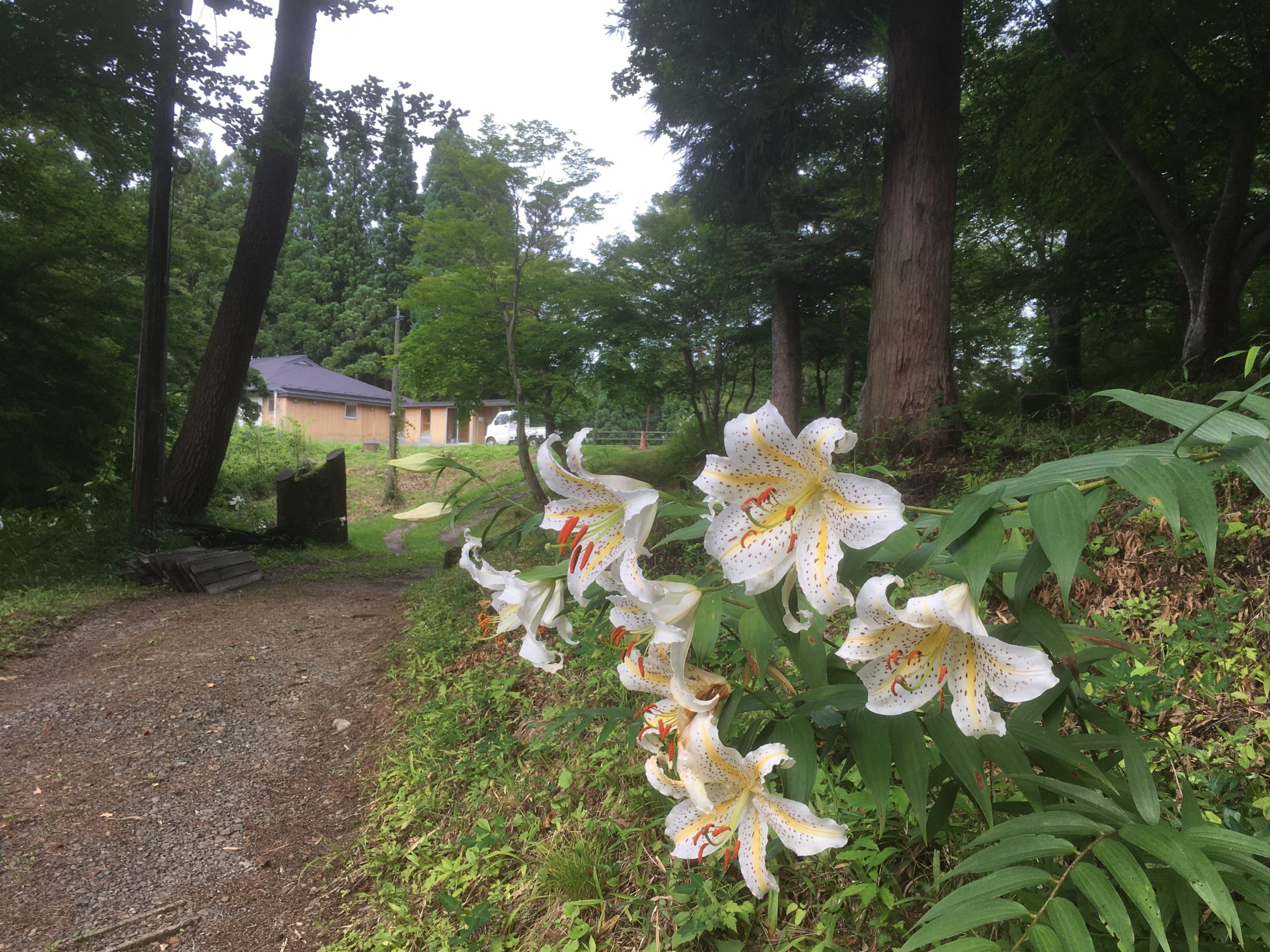 キャンプと創造②　宮城・オアシスセンター　 キリスト教森郷キャンプ場