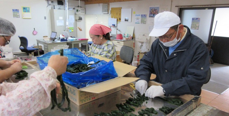 石巻で「べてるの風」開所　障がい者とともに町興し