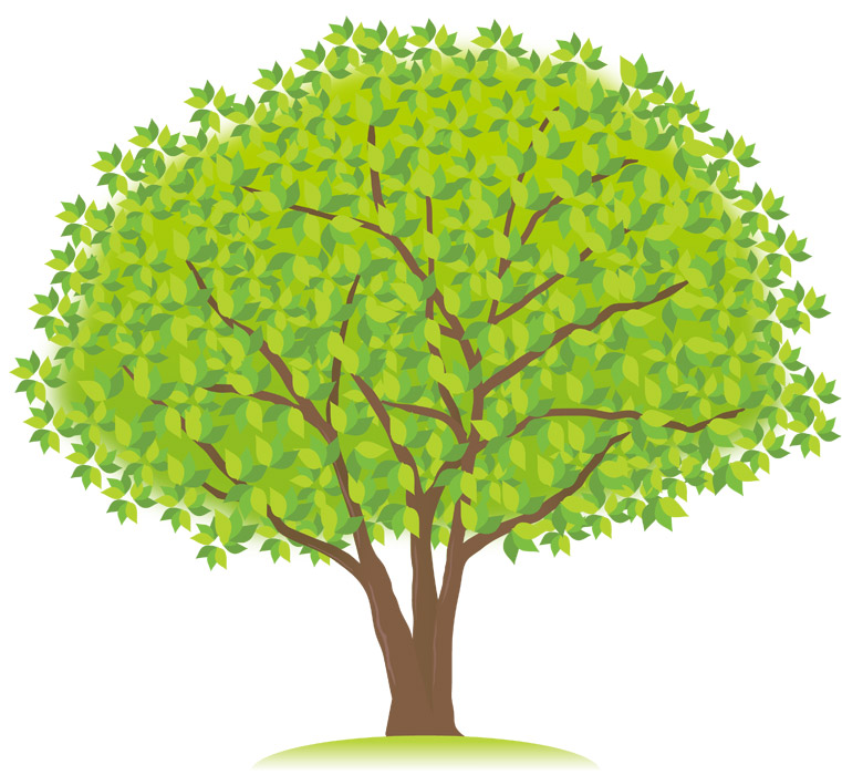 建築特集　ステイホーム（家で過ごす）時代の安心と温もり