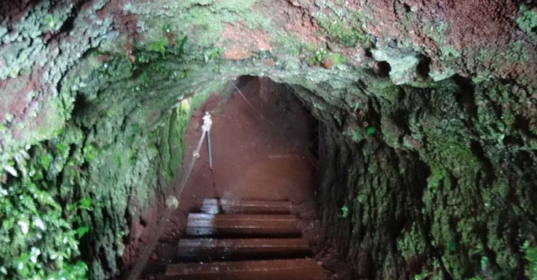 ●済州島戦跡ルポ　本土防衛へ軍事要塞化 島民の強制労働で地下壕50㌔