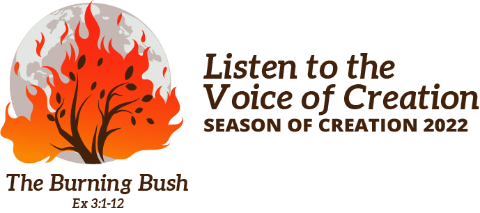 「被造物の声を聴く」テーマに環境配慮呼びかけ　被造物の季節　豊富な資料提供　9月世界で