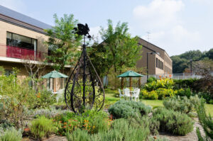 箏と歌でトルコ被災地と日本つなぐ 森祐理、末富敦子