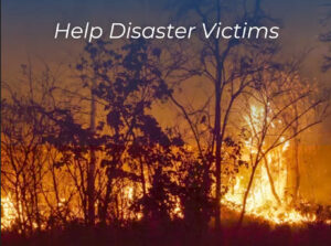 ロサンゼルス山火事　OB緊急災害支援・寄付受付開始