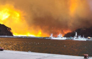 大船渡山林火災　グレイスハウス教会から現地報告・支援要請