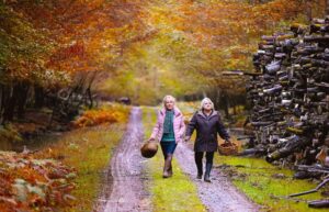 【映画】「秋が来るとき」 心のひだに潜む影の存在への気づき