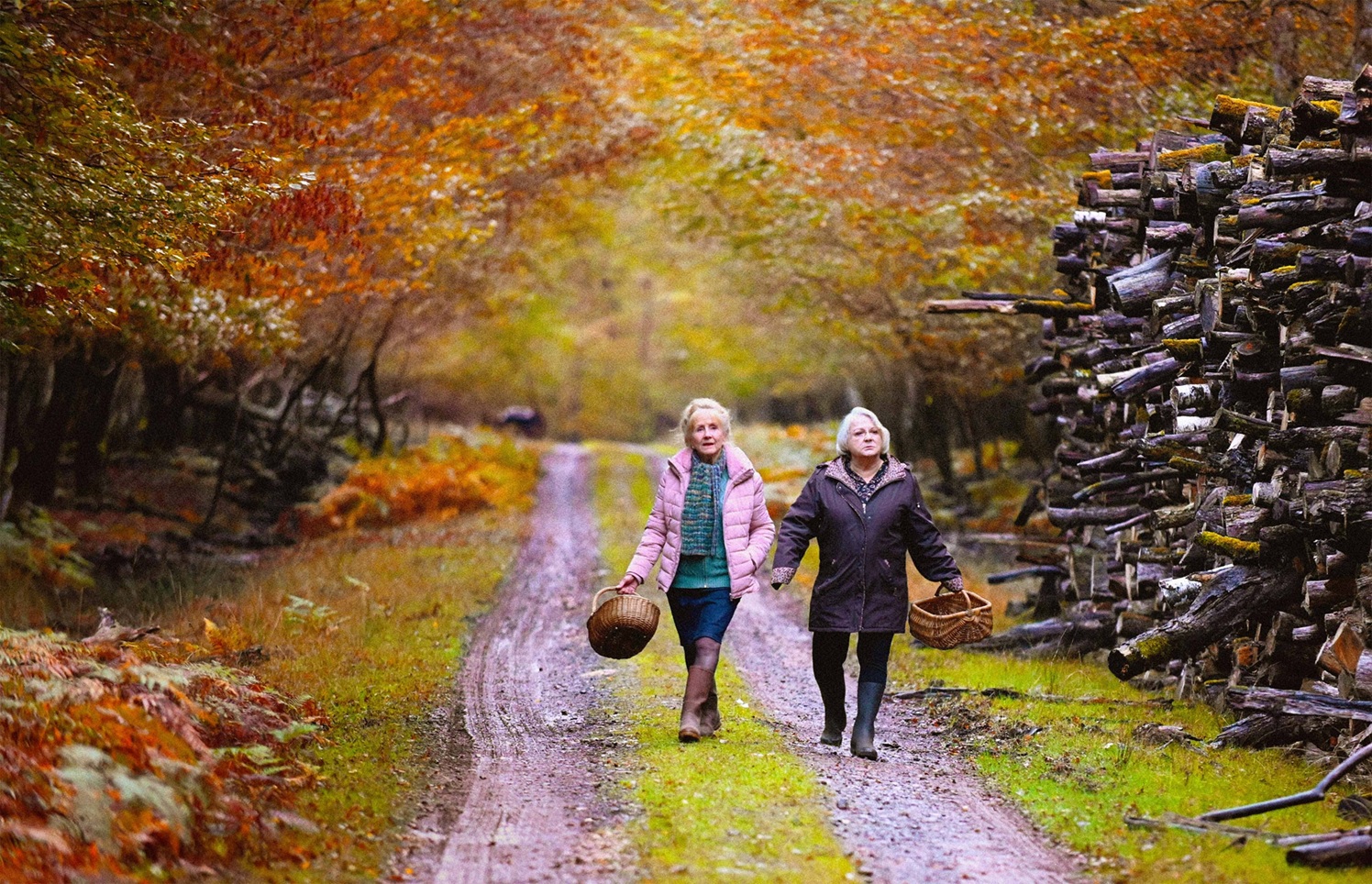 【映画】「秋が来るとき」　心のひだに潜む影の存在への気づき