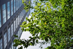 職場で環境配慮 ビジネス宣教と被造物ケアの視点