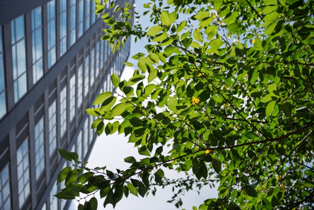 職場で環境配慮　ビジネス宣教と被造物ケアの視点