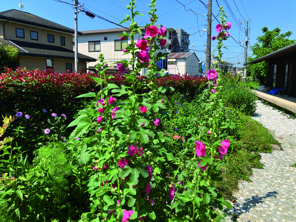 《特集フォーカス・オン》対話① 異論を否定しない「紛争解決」の秘訣