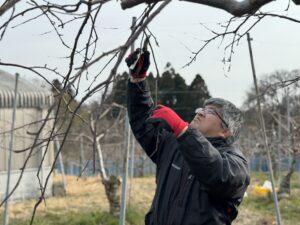能登の里山を“フルーツ天国”に 　志賀町で果樹園管理　災害支援から宣教と地域再生へ 単立・ニューソングチャーチ東京